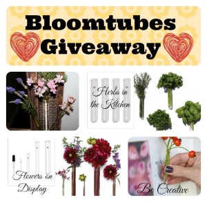Bloomtubes-Giveaway 2